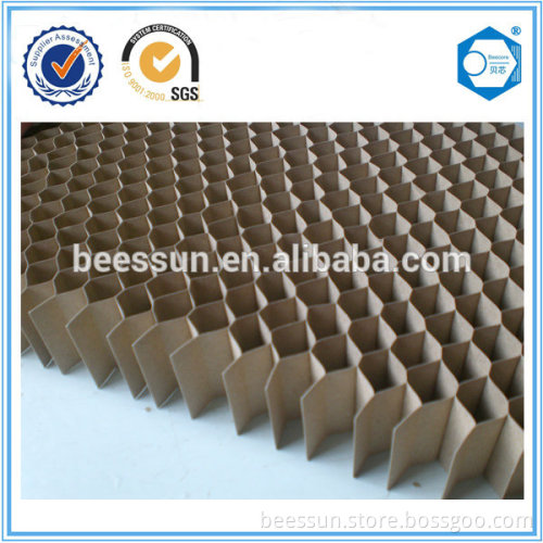 Paper honeycomb core for door panel
